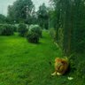 Фото профиля أم أولادي