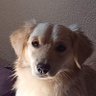 Profilbild von Pasinga ඞ