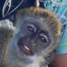 Profilbild von Tummy Sticks