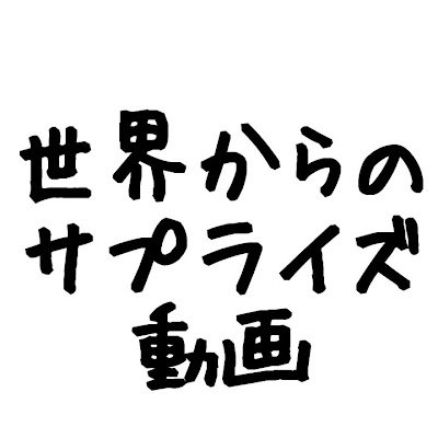 surprisedoga's profile picture