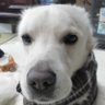 Profilbild von AKEMI