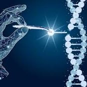 GeneInvesting's profile picture