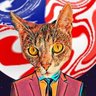 Profilbild von NFT_M Walls