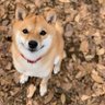 よー's profile picture
