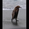 __顶针儿__ profil fotoğrafı