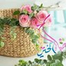 Фото профиля عمر افندى