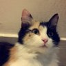 𝑮𝒖𝒛𝒂𝒂𝒓𝒊𝒔𝒉 profil fotoğrafı