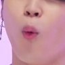 박찌미니's profile picture