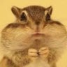 栗鼠吉 profil fotoğrafı