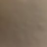 wolky's profile picture
