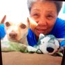 Profilbild von Caralen Holley