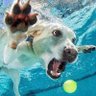 EddieKE profil fotoğrafı