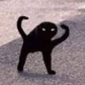 Jack Barrowclough's profile picture