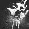 Profilbild von Kelebek Etkisi