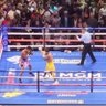 Фото профиля Boxing