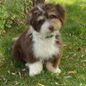 BobDora profil fotoğrafı