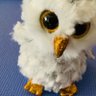 Owls Molloy profil fotoğrafı