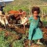 Фото профиля ETHIOPIA’S Zay (culture of decency)