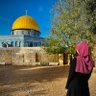 Фото профиля Tasneem Yasin