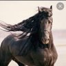 عبيه_ 𝒜ℬℐℋ's profile picture