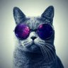 iFarted profil fotoğrafı