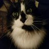 ScooBy932's profile picture