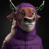 Profilbild von crypto rob
