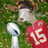 SuperbowlGrazin15's profile picture