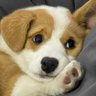 adorable youuu's profile picture