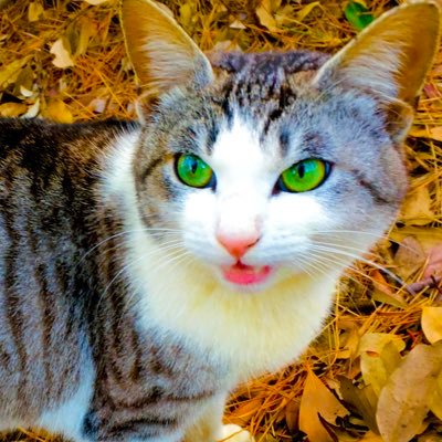 103Tady's profile picture
