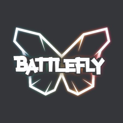 BattleFlyGame's profile picture