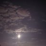 Moonlight's profile picture