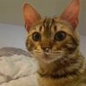Фото профиля San