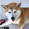 マキオ's profile picture