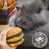 あゆ🌸℗\🍟ポテトとシャカチキとわたし🍣/🍟's profile picture
