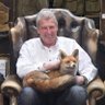 Luc Jansen's profile picture