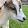 うた profil fotoğrafı