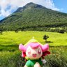 イーサン🐤's profile picture
