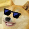 Фото профиля meme lover
