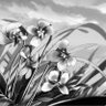 おき's profile picture
