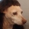 Profilbild von Lucas, sin H