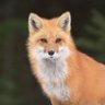 bakule's profile picture