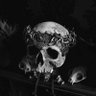 Jaelan's profile picture