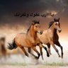 Фото профиля أم عبد المجيد