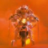 Ree Ree's profile picture