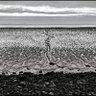 Фото профиля 1618cc™/3