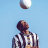 Profilbild von NUFC