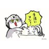 Profilbild von しまぱん@マーケティング