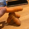 Not a Sandwich 的头像