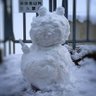 よわいかじゅま 的头像